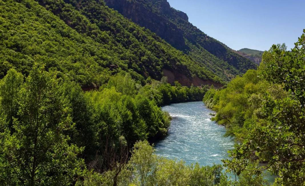 Tam 27 ilde resmen yasaklandı! Ormanlara giremeyeceksiniz - Resim: 4